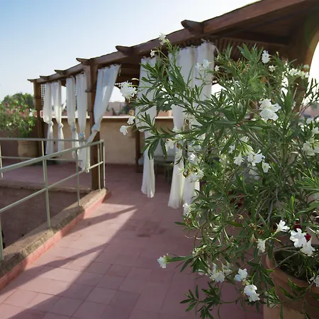 Riad Altair-2