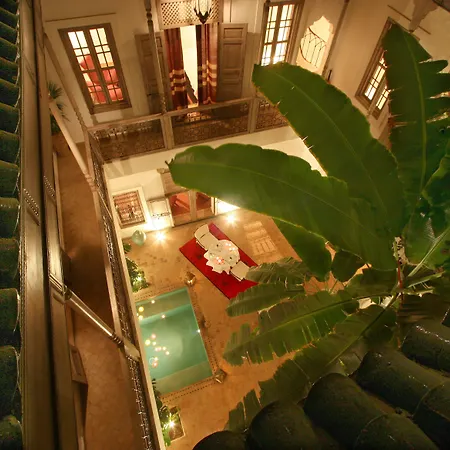Riad Altair-3